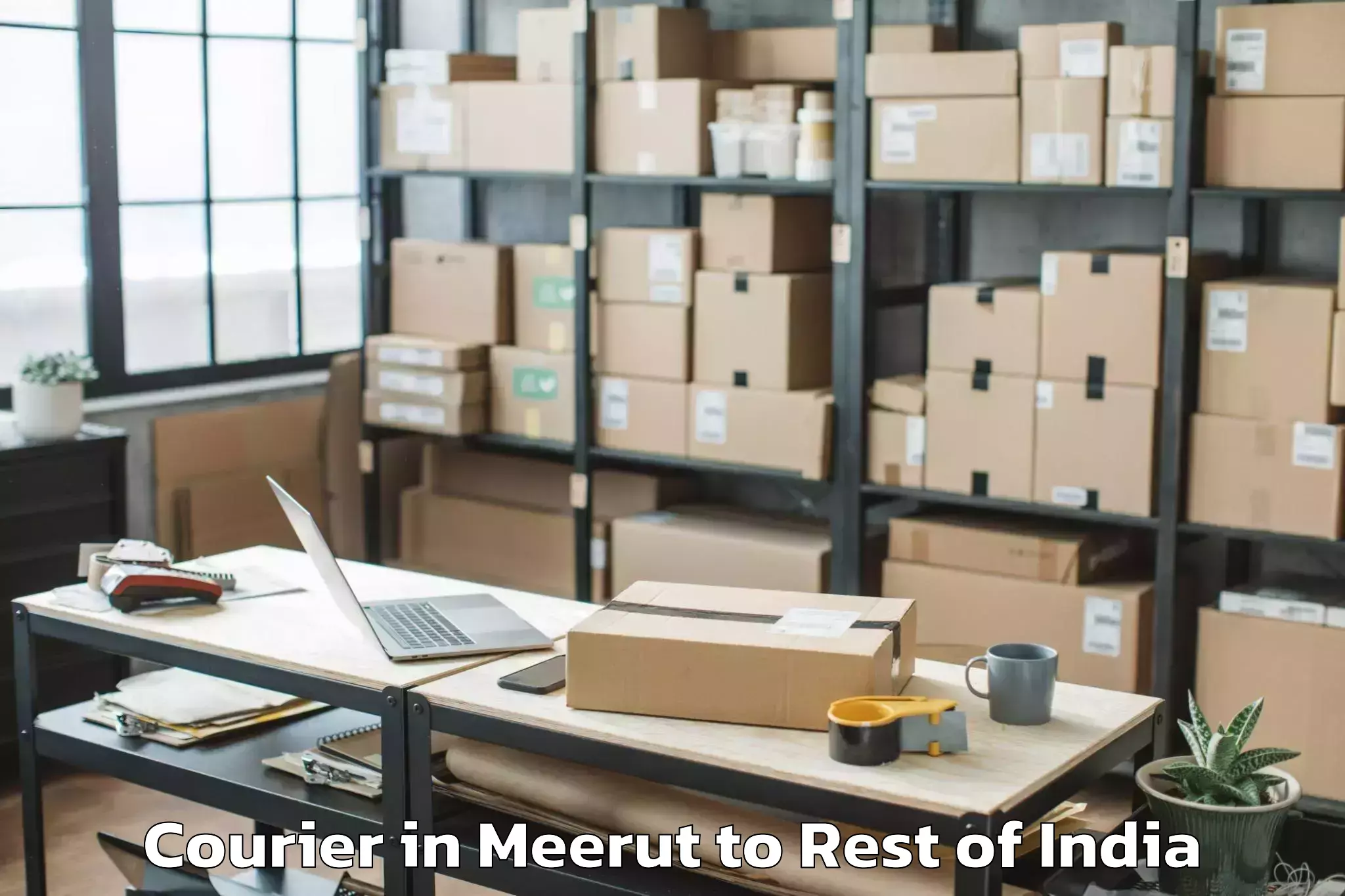 Affordable Meerut to Bazarhatnoor Courier